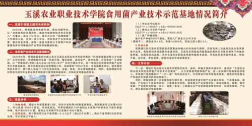 巾帼创业 圆梦玉溪︱玉溪市首届妇女创业创新大赛优秀项目展示 第一期 技术推广